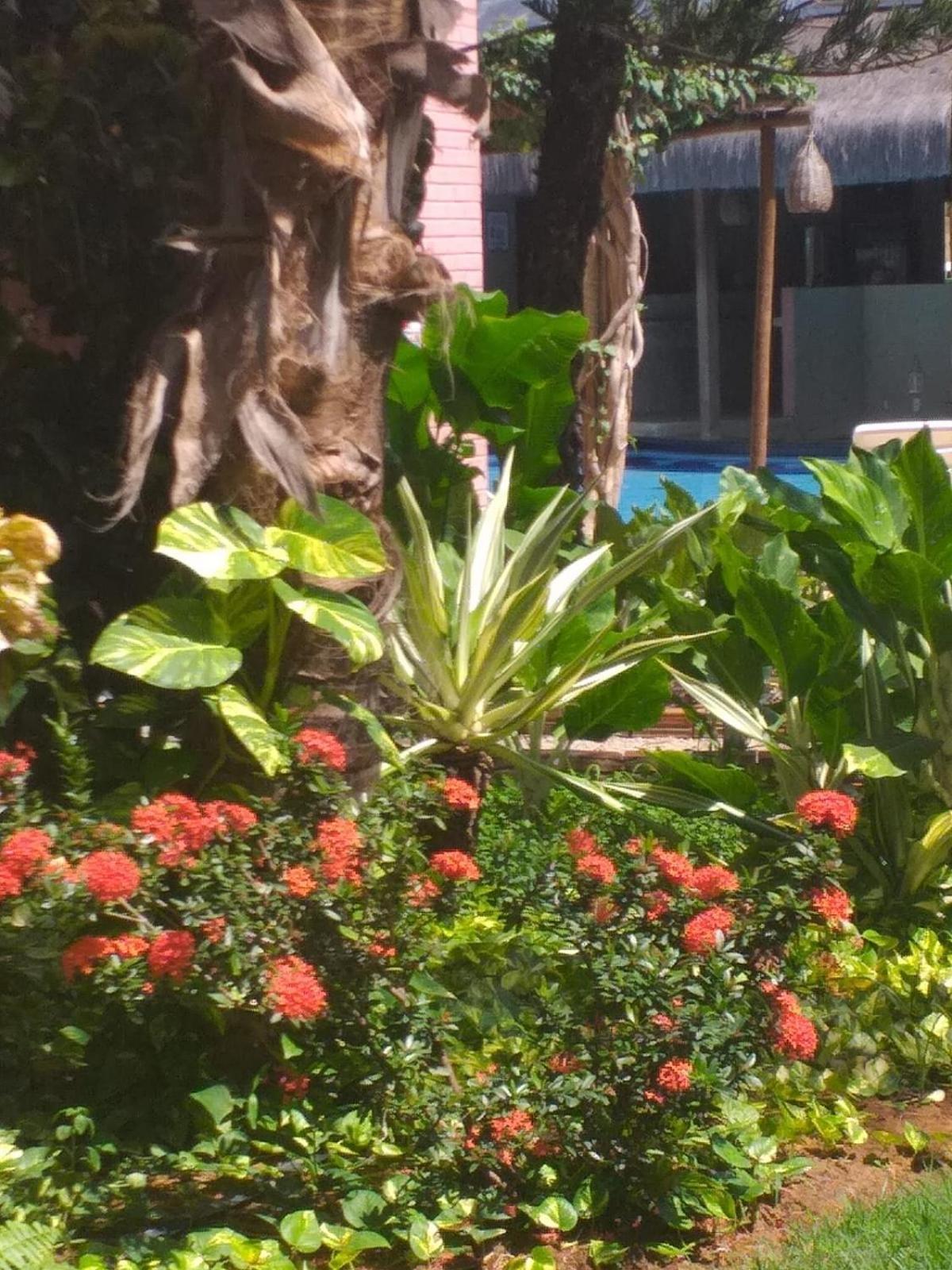 Chalé Tulipa - Centro de Pipa - Triplex Cond Resort Pipa Praia de Pipa Exterior foto